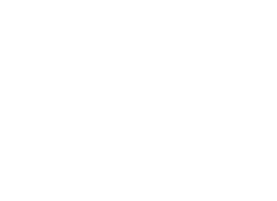 Since 1995